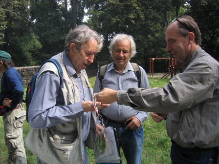 Gémes Kupa